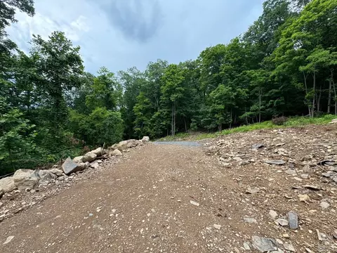 0 Eisenhardt Loop, Cairo, NY 12413 photo 12