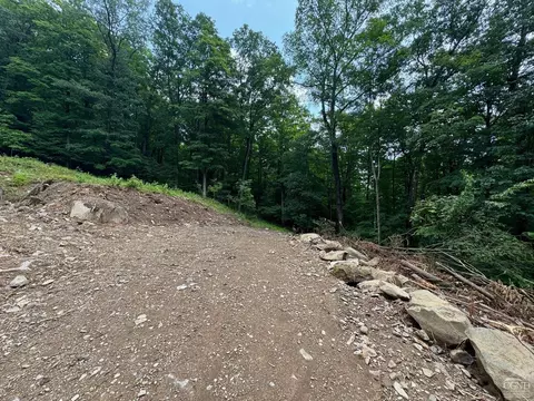0 Eisenhardt Loop, Cairo, NY 12413 photo 10