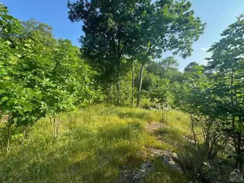 0 Eisenhardt Loop, Cairo, NY 12413 photo 4