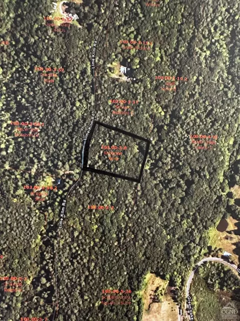0 Lime Kiln Rd, Athens, NY 12015 photo 5