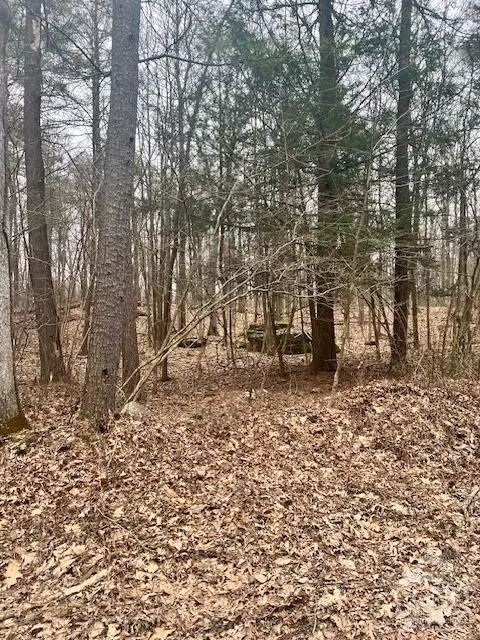 0 Lime Kiln Rd, Athens, NY 12015 photo 2