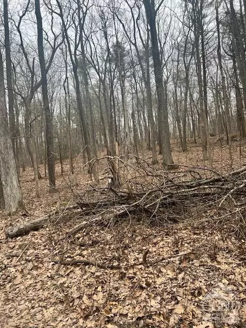 0 Lime Kiln Rd, Athens, NY 12015 photo 7