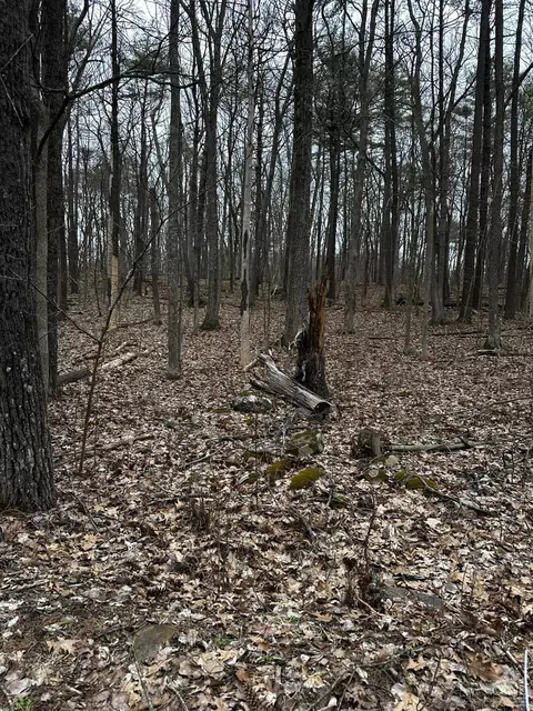 0 Lime Kiln Rd, Athens, NY 12015 photo 3