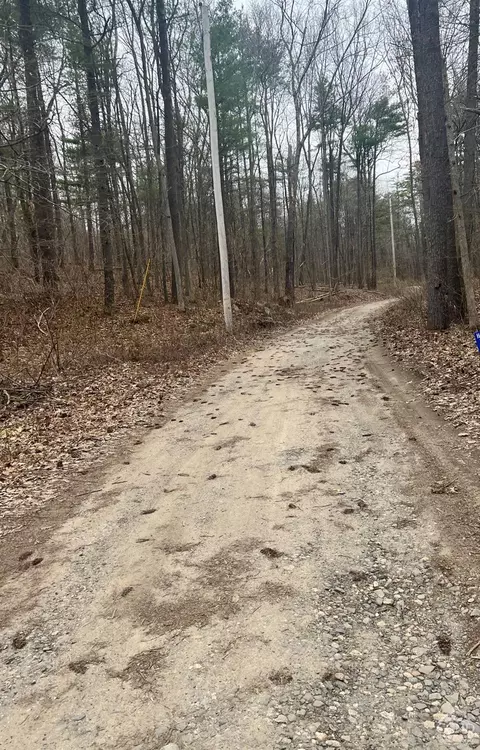 0 Lime Kiln Rd, Athens, NY 12015 photo 8