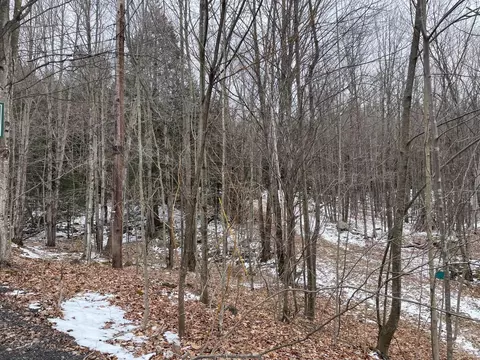 0 Larsen Dr, Windham, NY 12496 photo 3