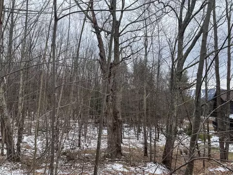 0 Larsen Dr, Windham, NY 12496 photo 4
