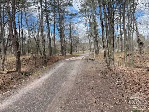 95 Blackhead Mountain Rd, Cairo, NY 12473