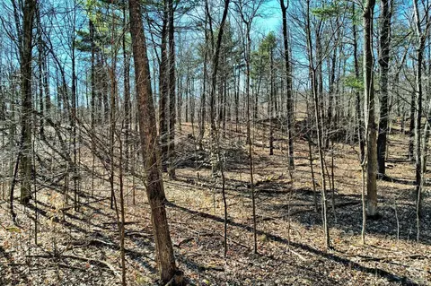 101 Lime Kiln Rd, Athens, NY 12015 photo 66