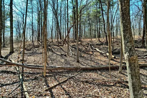 101 Lime Kiln Rd, Athens, NY 12015 photo 11