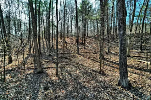 101 Lime Kiln Rd, Athens, NY 12015 photo 56