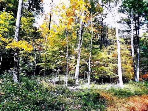 101 Lime Kiln Rd, Athens, NY 12015 photo 67