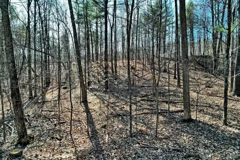 101 Lime Kiln Rd, Athens, NY 12015 photo 55