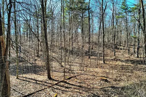 101 Lime Kiln Rd, Athens, NY 12015 photo 4
