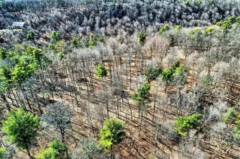 101 Lime Kiln Rd, Athens, NY 12015 photo 22