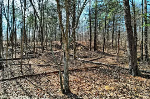 101 Lime Kiln Rd, Athens, NY 12015 photo 48