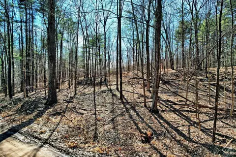 101 Lime Kiln Rd, Athens, NY 12015 photo 17