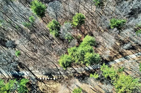 101 Lime Kiln Rd, Athens, NY 12015 photo 26