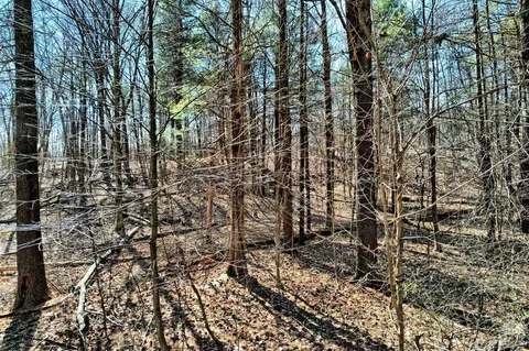 101 Lime Kiln Rd, Athens, NY 12015 photo 5