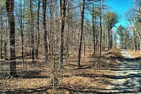 101 Lime Kiln Rd, Athens, NY 12015 photo 7
