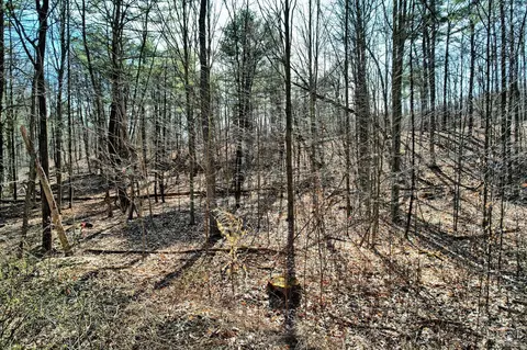 101 Lime Kiln Rd, Athens, NY 12015 photo 54