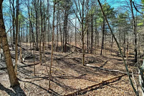 101 Lime Kiln Rd, Athens, NY 12015 photo 9