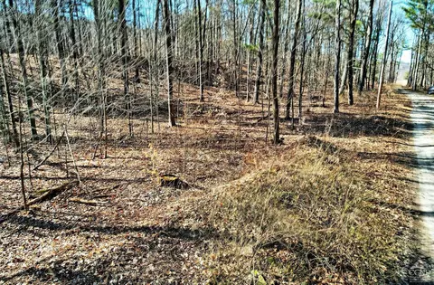 101 Lime Kiln Rd, Athens, NY 12015 photo 52