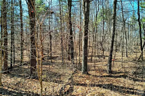 101 Lime Kiln Rd, Athens, NY 12015 photo 6