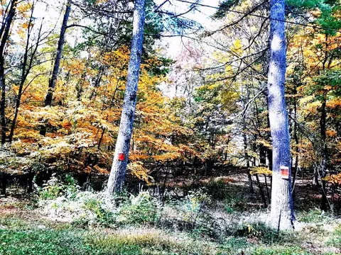 101 Lime Kiln Rd, Athens, NY 12015 photo 68