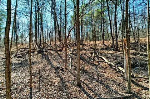 101 Lime Kiln Rd, Athens, NY 12015 photo 12