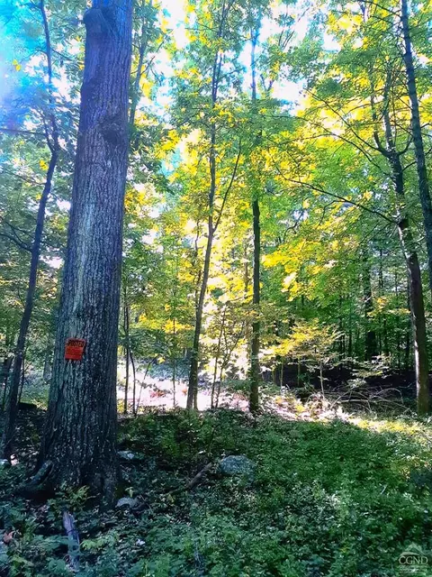 101 Lime Kiln Rd, Athens, NY 12015 photo 72