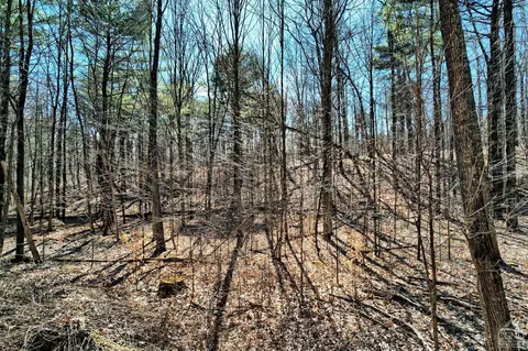 101 Lime Kiln Rd, Athens, NY 12015 photo 65