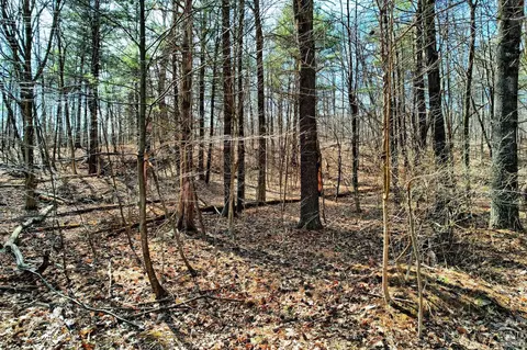 101 Lime Kiln Rd, Athens, NY 12015 photo 47