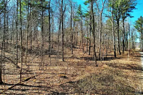 101 Lime Kiln Rd, Athens, NY 12015 photo 3