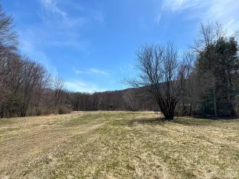 0 Pumpkin Holw S, Copake, NY 12529