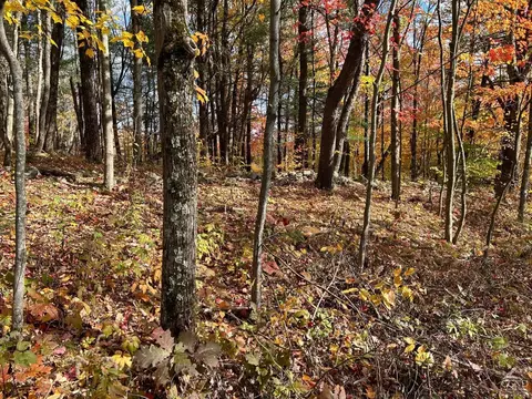 1 W Hill Rd, Austerlitz, NY 12017