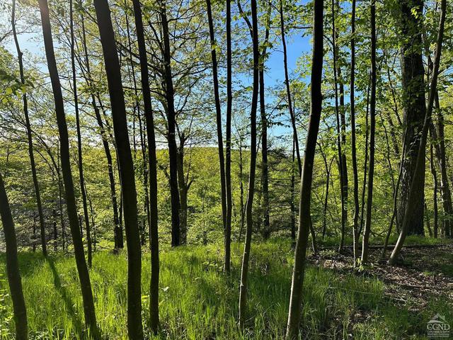0 Milewood Rd, Millbrook, NY 12545