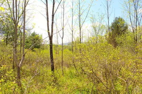 0 State Route 145, Durham, NY 12422 photo 15