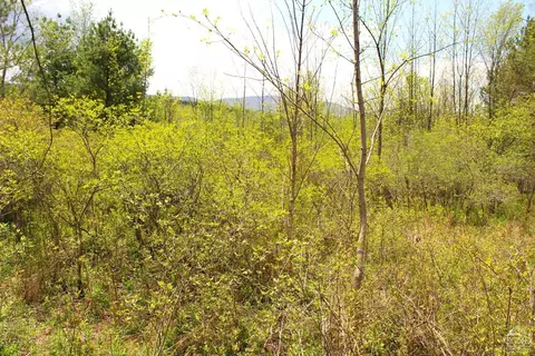 0 State Route 145, Durham, NY 12422 photo 5