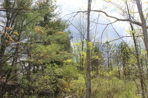 0 State Route 145, Durham, NY 12422 photo 16