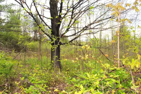 0 State Route 145, Durham, NY 12422 photo 3