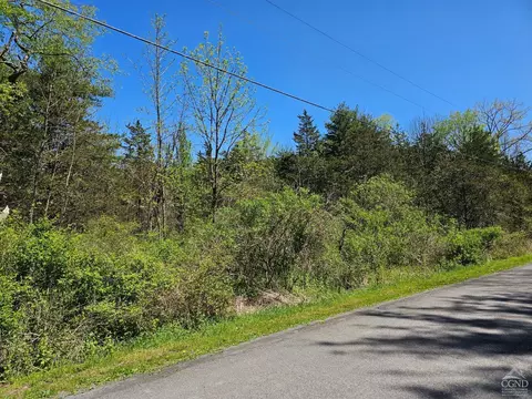 114 Circle Dr, Cairo, NY 12413 photo 6