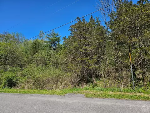 114 Circle Dr, Cairo, NY 12413 photo 5