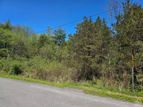 114 Circle Dr, Cairo, NY 12413 photo 4