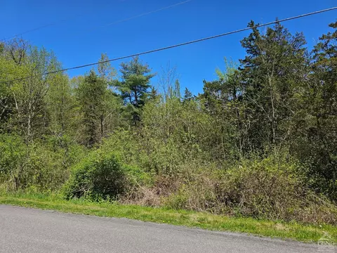 114 Circle Dr, Cairo, NY 12413 photo 3