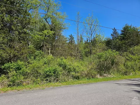 114 Circle Dr, Cairo, NY 12413