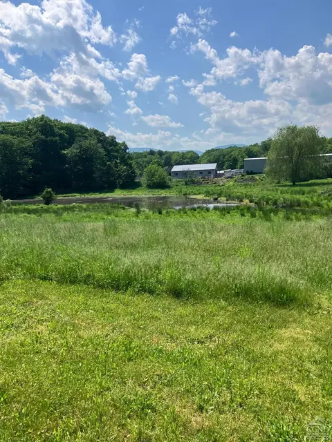 305 Cairo Junction Rd, Catskill, NY 12414 photo 7