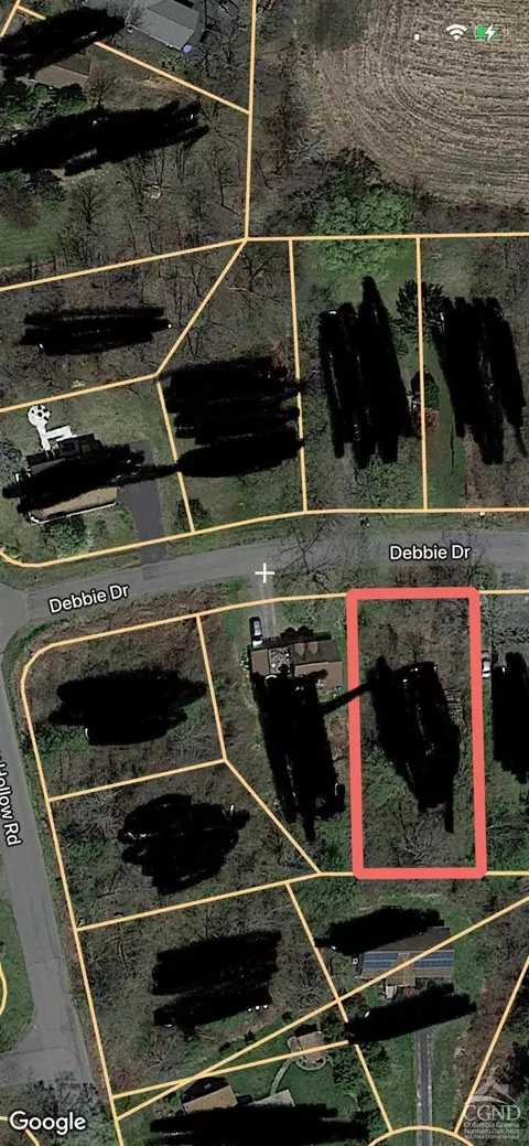157 Debbie Dr, Athens, NY 12015