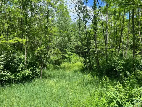 0 County Route 67 Rd, Cairo, NY 12413 photo 3