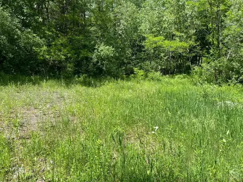0 County Route 67 Rd, Cairo, NY 12413 photo 5