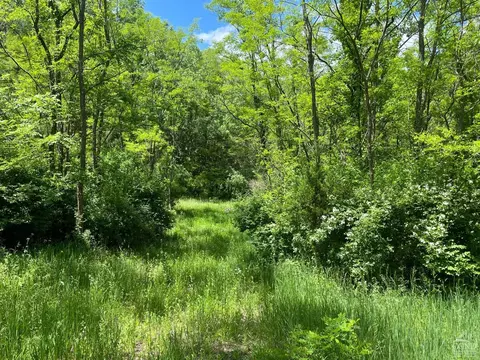 0 County Route 67 Rd, Cairo, NY 12413 photo 4
